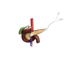 Advanced Chemotherapy Technologies ACT-IOP-003 iontophoresis chemotherapy delivery system