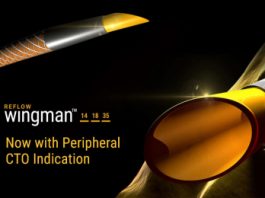 Reflow Medical Wingman Catheter