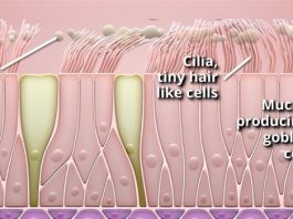 CSA Medical, RejuvenAir® System study