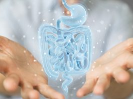 Can Gut Microbiomes Affect Mental Health: 5 Things To Know article