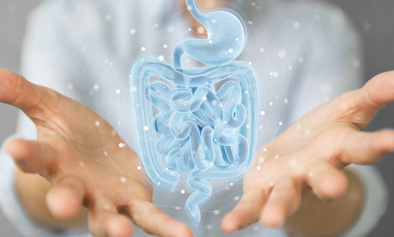 Can Gut Microbiomes Affect Mental Health: 5 Things To Know