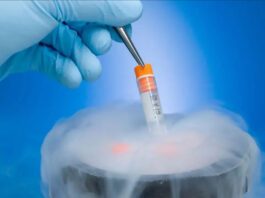 Here's What You Need to Know About Cryopreservation