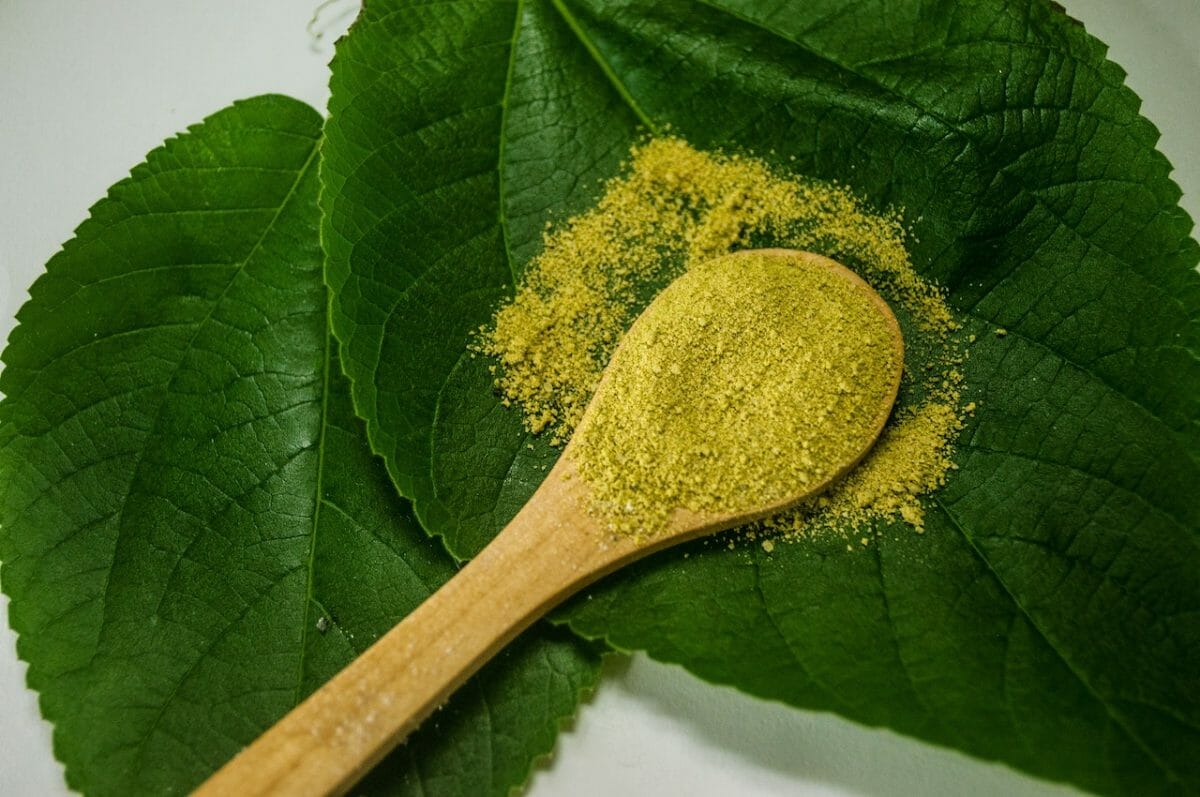 Kratom Comes From Southeast Asia