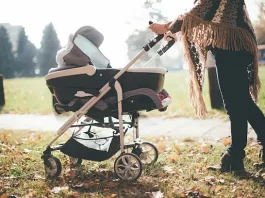 Bassinet Strollers