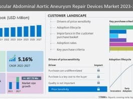 Endovascular Abdominal Aortic Aneurysm Repair Devices Market