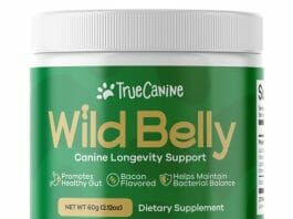 wild belly dog probiotic