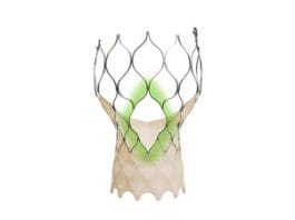 Evolut ™ FX+ TAVR system