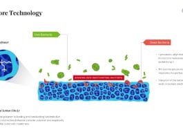 antimicrobial wound dressings